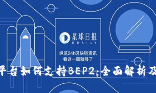 Tokenim平台如何支持BEP2：全面解析及用户指南