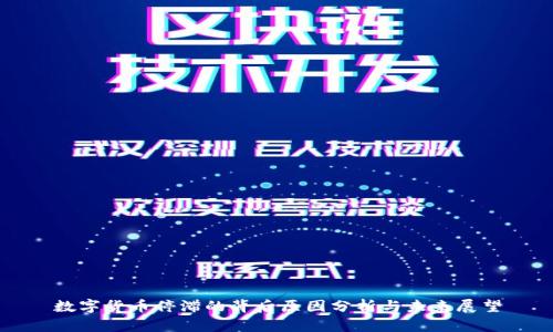数字货币停滞的背后原因分析与未来展望