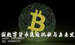 全球各国数字货币流通现