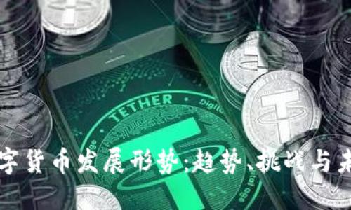 全球数字货币发展形势：趋势、挑战与未来展望