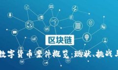 美国数字货币案件概览：