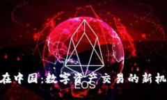 Tokenim在中国：数字资产交