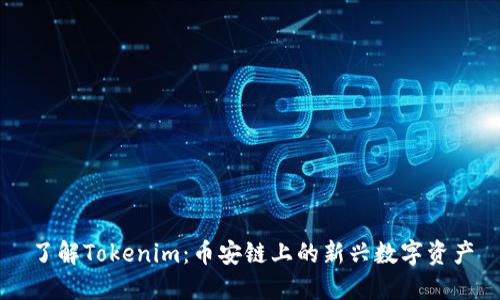 了解Tokenim：币安链上的新兴数字资产
