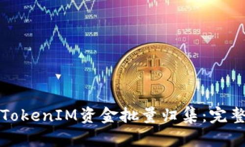 如何高效地进行TokenIM资金批量归集：完整指南与实用技巧
