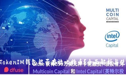 TokenTokenIM钱包能否存放比特币?全面解析与使用指南