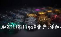 如何在Tokenim上添加ZIL（