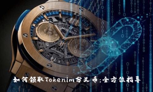 如何领取Tokenim分叉币：全方位指导