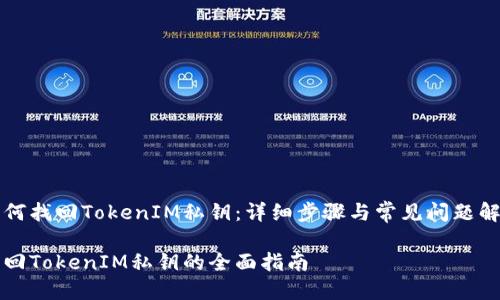 如何找回TokenIM私钥：详细步骤与常见问题解析

找回TokenIM私钥的全面指南